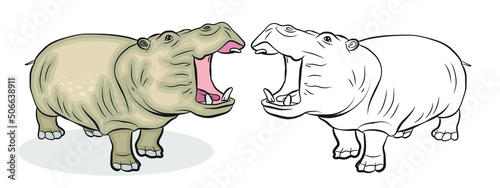 In the animal world. An image of an African hippo.
 Black-and-white and color drawing, coloring. Vector drawing.