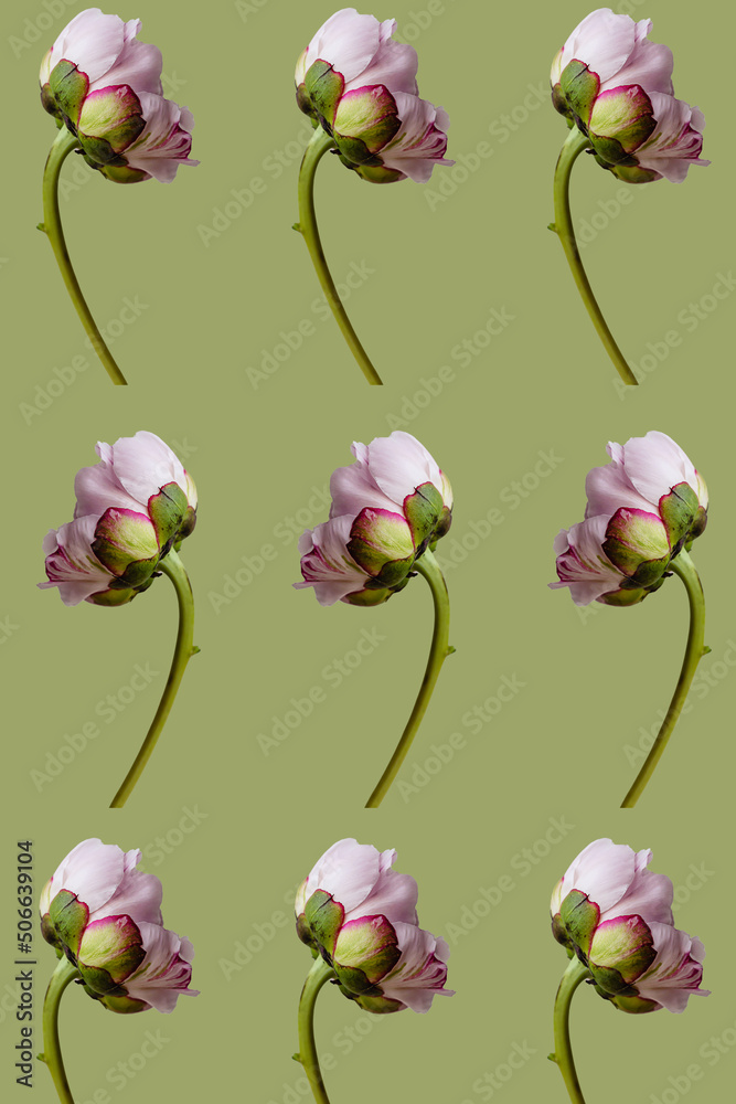 Many pink peony flower with green leaves on olive spring background seamless pattern. Repetition and levitation botany floral wallpaper or greeting card. Nature design idea concept.