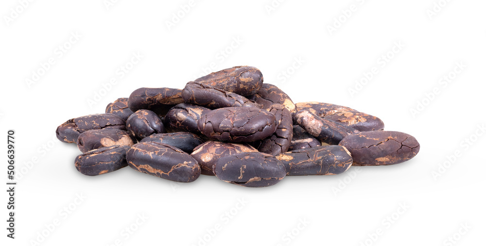 Dried Cocoa beans isolated on white Dried Cocoa beans isolated on white