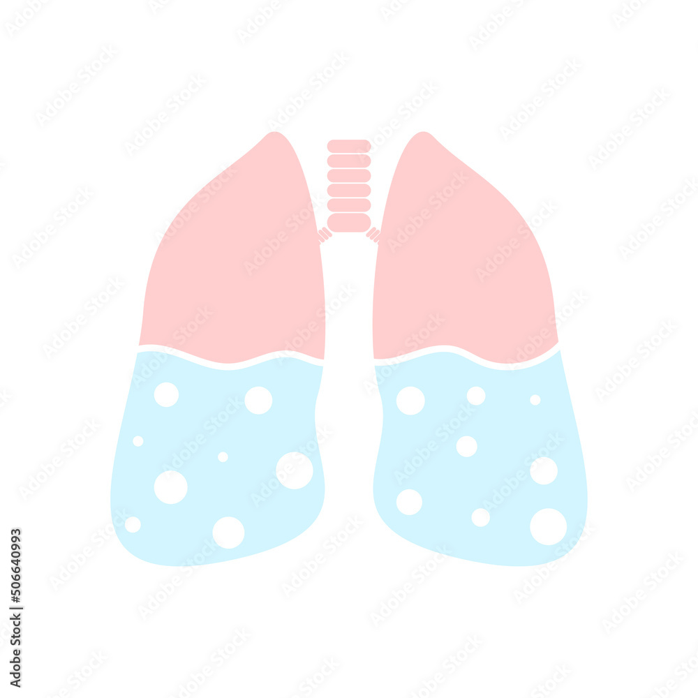 Lungs illustration for medical design. Medicine concept. Lungs illustration for medical design. Medicine concept.