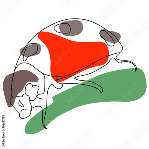 illustration of a ladybug 