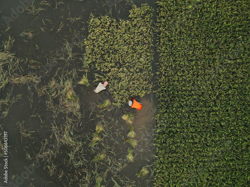 Flood in Sunamganj Bangladesh on 2022.

Climate change caused by global warming is having a devastating effect on the world's natural environment. photo