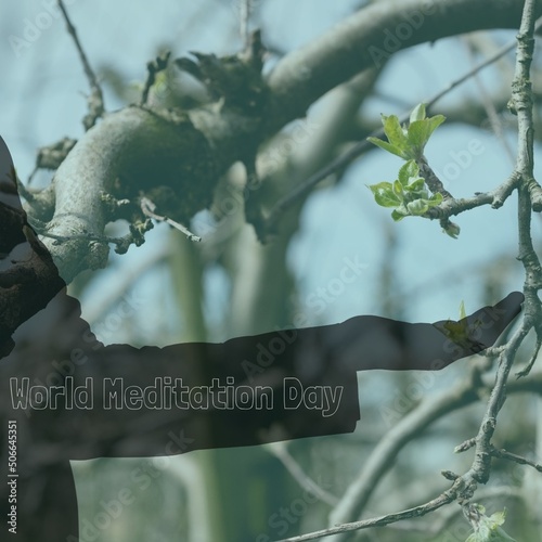 Composite image of cropped hand and world meditation day text against branches in forest
