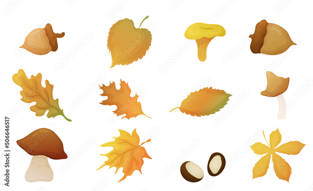 Leaves mushrooms and nuts. Set of withering leaves and other seasonal elements. Vector illustration Leaves mushrooms and nuts. Set of withering leaves and other seasonal elements. Vector illustration