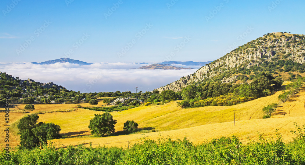 Beautiful rural quiet idyllic yellow green landscape valley, olive grove, hills, sea of low morning stratus clouds, golden agriculture fields, Axarquia, Montes de Malaga, Spain