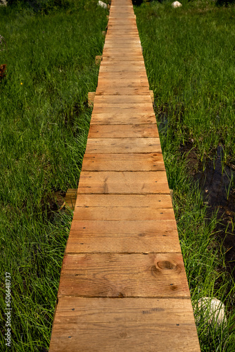 Straight Wooden Pathway Through Bright Green Marsh