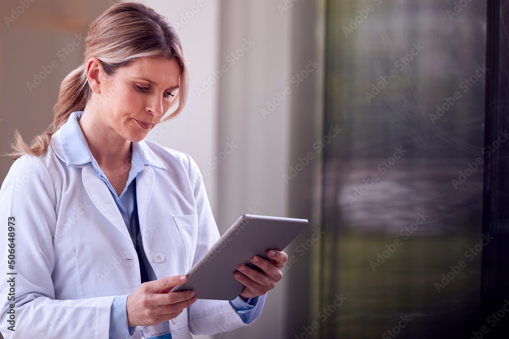 Female Doctor Wearing White Coat Standing In Hospital Corridor Looking At Digital Tablet Female Doctor Wearing White Coat Standing In Hospital Corridor Looking At Digital Tablet