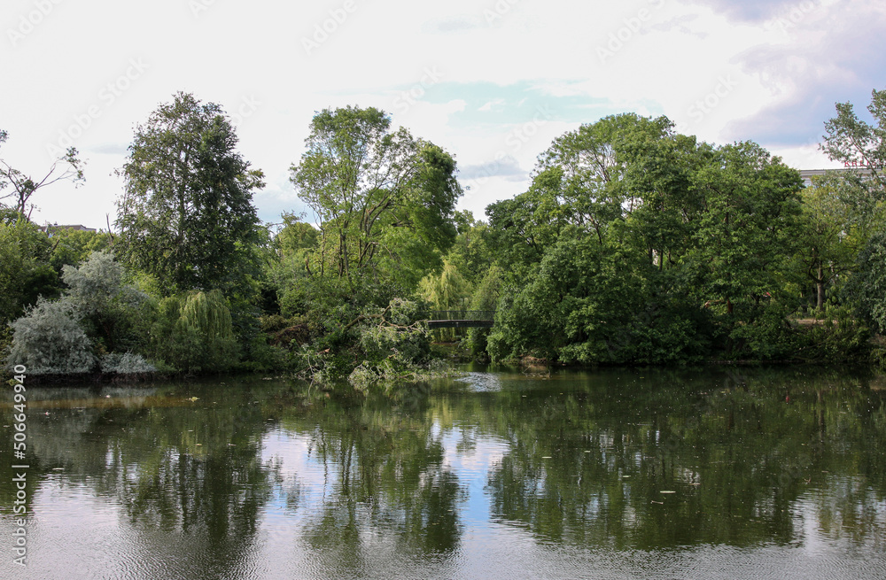 Fototapeta premium Trees and lake in a park