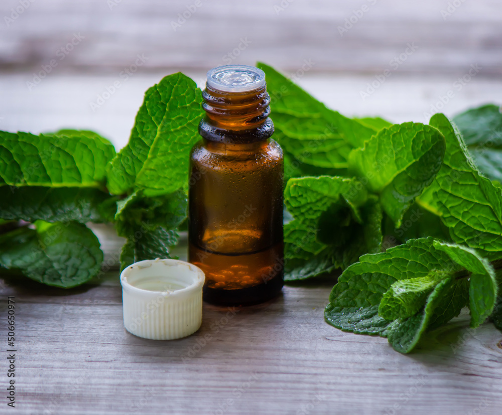 Bottle with essential oil and mint isolated on a light background. Bottle with essential oil and mint isolated on a light background.