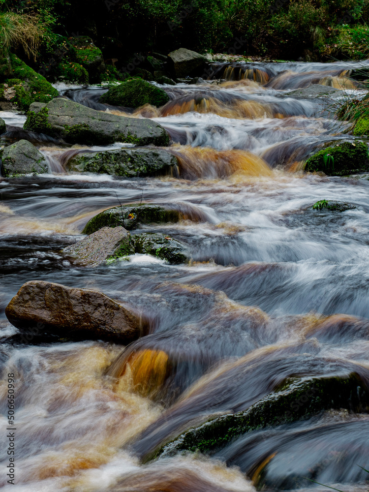 stream in the forest
