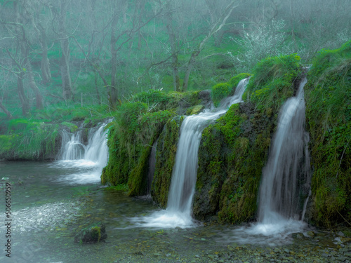 waterfall in the forest