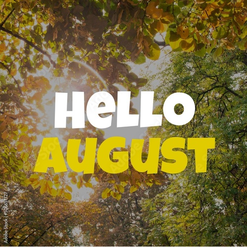 Digital composite image of hello august text and sunlight streaming through trees in forest