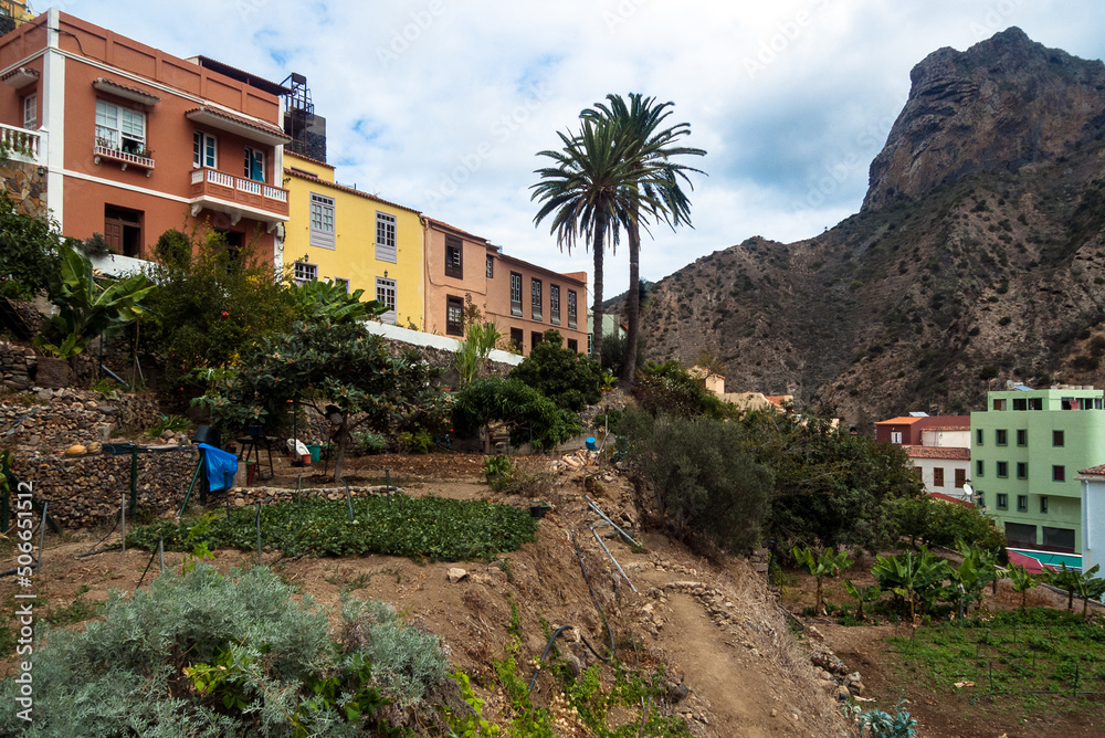 Vallehermoso, La Gomera, Canary Islands, Spain: vegetable cultivation with the village and the mountain in the background