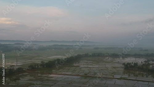 Rice field scenery. Foggy landscape. Agricultural land in rural areas.