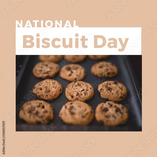 Composite image of national biscuit day text with chocolate chip biscuits in tray