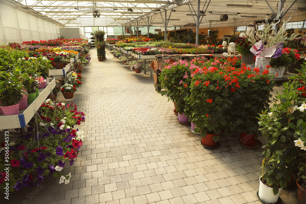 Garden center with many different blooming plants