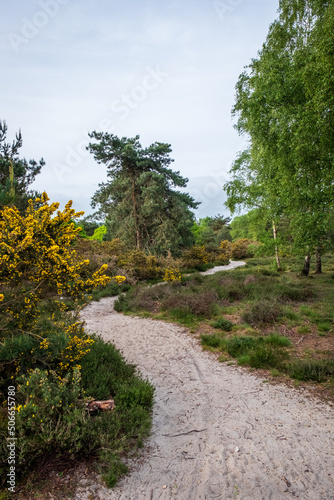 Frensham Great Pond © Justin Owen