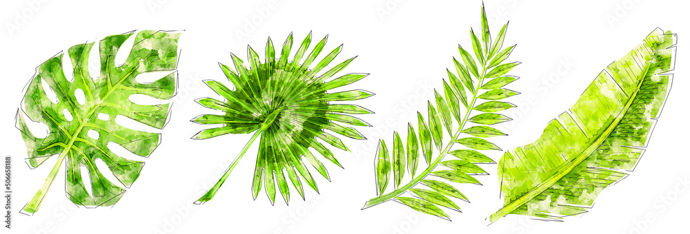 Set of watercolor tropical leaves illustration, summer clipart. Tropical palm leaves set isolated on white background Set of watercolor tropical leaves illustration, summer clipart. Tropical palm leaves set isolated on white background