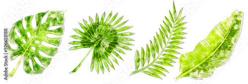 Set of watercolor tropical leaves illustration, summer clipart. Tropical palm leaves set isolated on white background