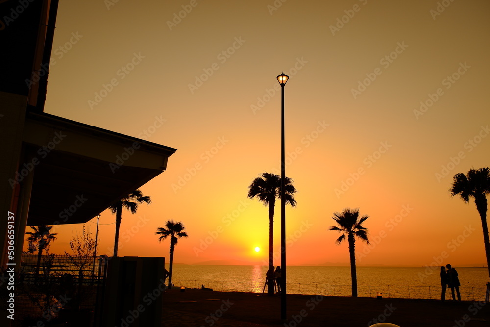 海岸と夕日と椰子の木
