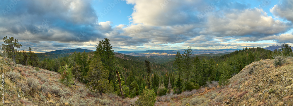 Panorama with mountain forest in eastern Oregon in autmn season.