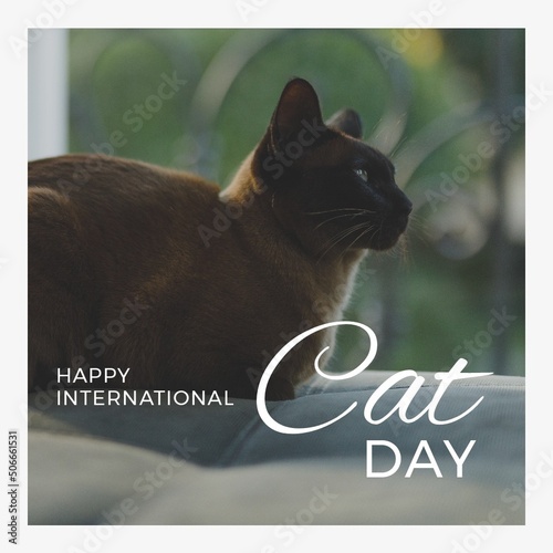 Digital composite of cat sitting on bed at home and happy international cat day text, copy space