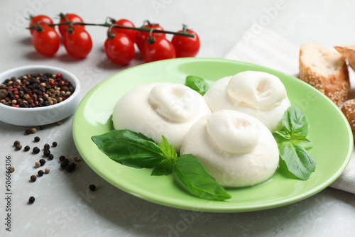 Delicious burrata cheese with basil and spices on light table, closeup