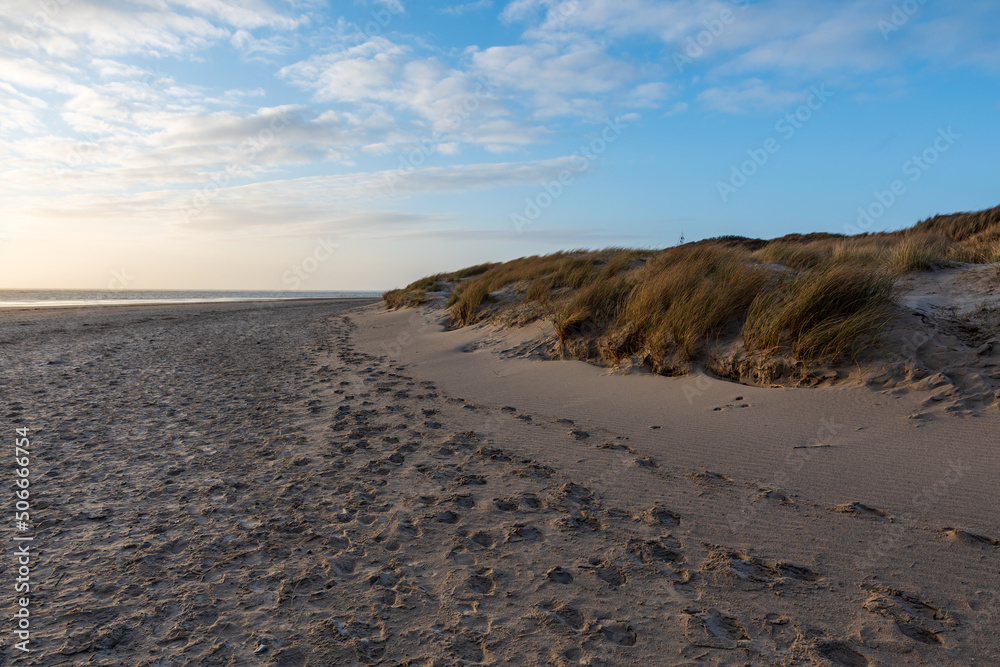 sand dunes on the beach
