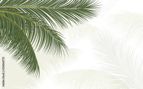 palm branch, coconut leaf