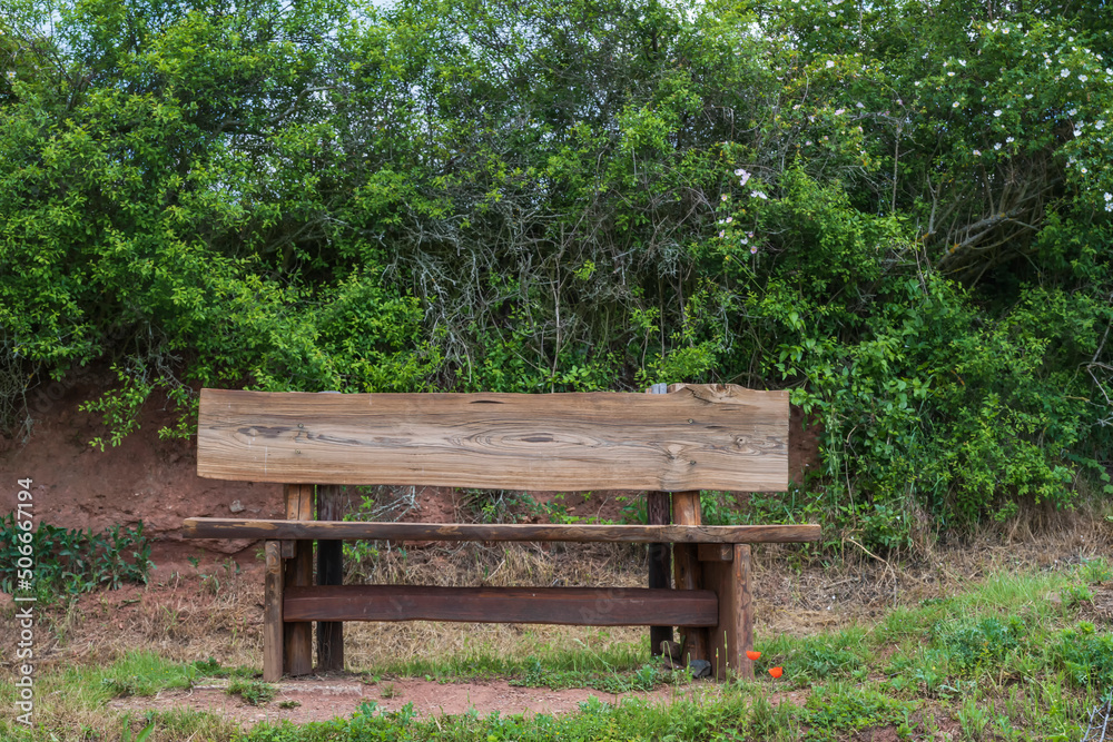 View of an empty cozy wooden bench in front of a bush View of an empty cozy wooden bench in front of a bush