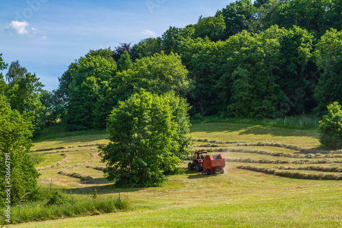 Fotografia, Obraz View of a mowed meadow where the farmer is just harvesting the hay