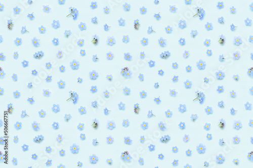 Seamless floral pattern of tiny spring forget-me-not flowers on blue background top view flat lay