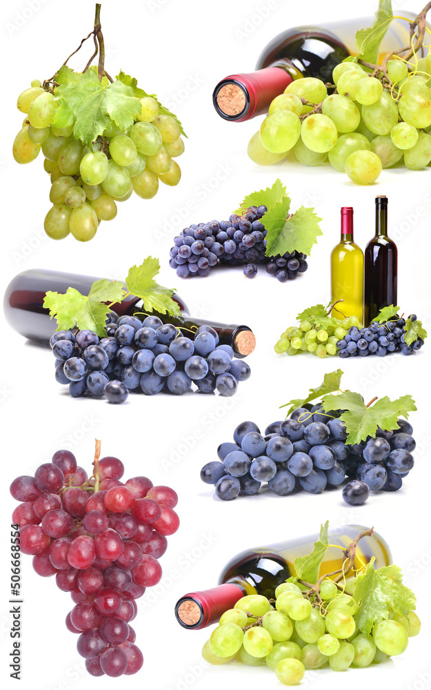 Fototapeta premium A bottle of wine on a white background