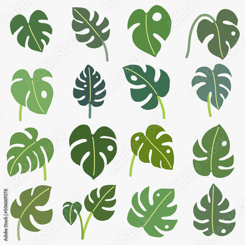 Boho monstera leaf freehand drawing flat
