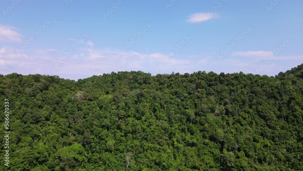 Aerial view green natural forest at Malaysia Aerial view green natural forest at Malaysia