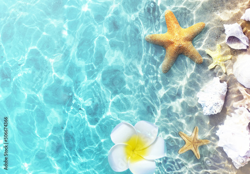 Starfish and seashells on the summer beach in sea water. Summer background. Summer time