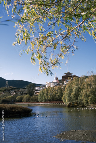 landscape with river and trees