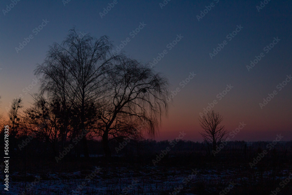 silhouette of trees against the backdrop of sunset