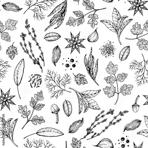 Herbs and spices seamless pattern. Hand drawn vector illustration. Aromatic plants. Hand drawn food sketch. Vintage illustration. Sketch style. Spice and herbs black and white design.