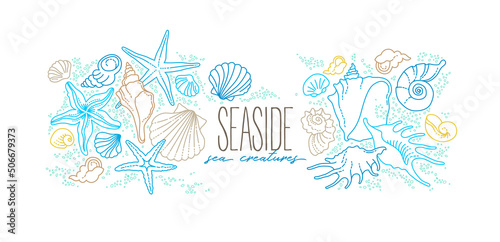 Vector frame, border of line art tropical sea elements, seashells, starfish. Doodles of marine life. Sea decor. Ocean invertebrates, sea creatures. Maritime illustration