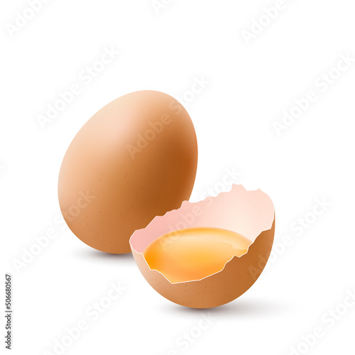 Fresh Organic Chicken Brown Eggs on White Background. The Egg is Half Broken in the Shell and a Whole Large Egg.
