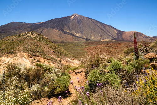 Vista del volcan del Teide desde el sendero de la montaña Guajara, Parque Nacional del Teide, Tenerife, Islas Canarias, España photo