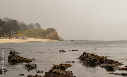 Scenic coastal landscape in J V Fitzgerald Marine Reserve, California
