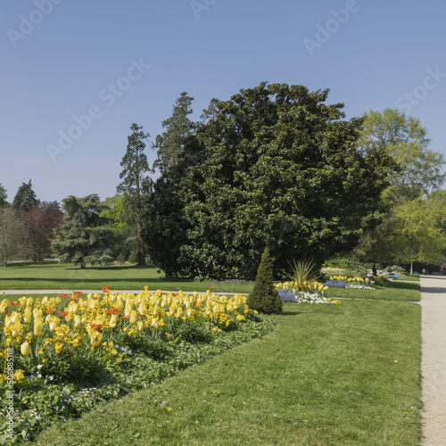 Parc du Thabor à Rennes au printemps