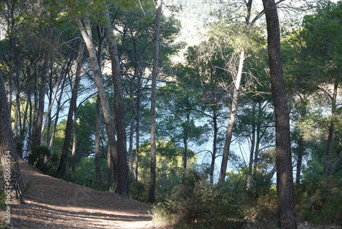 cap andrixol, mallorca