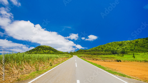 Obraz na płótnie 沖縄県石垣島の道路と田舎の風景