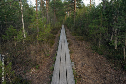 Fototapeta Naklejka Na Ścianę i Meble -  Straight wooden trail going far into forest with pine trees