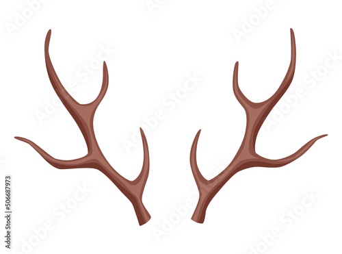 Horns. Hunting trophy. Vector horned wild animal. Pairs of antlers. Vector illustration of hunted animal, wildlife decoration concept