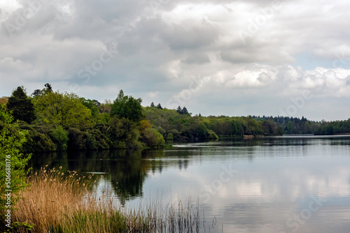 Virginia Water Lake in Windsor Great Park  United Kingdom