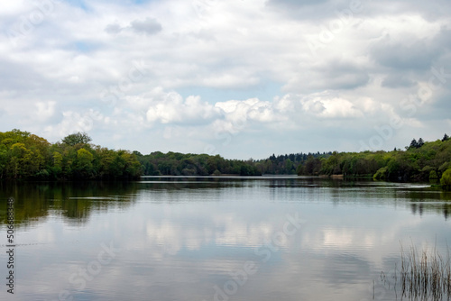 Fototapeta Naklejka Na Ścianę i Meble -  Virginia Water Lake in Windsor Great Park, United Kingdom